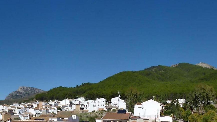 Hostal El Pinar Montecorto Eksteriør billede